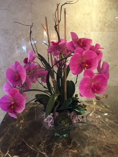 Florist «Flower City Florist», reviews and photos, 917 N Federal Hwy, Fort Lauderdale, FL 33304, USA