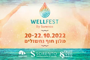 Wellfest by sorento image