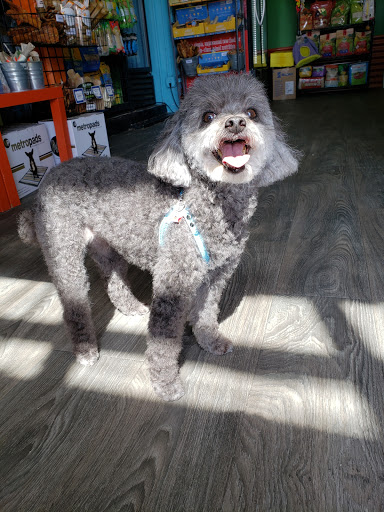 Pet Supply Store «Animal Kingdom of Santa Monica», reviews and photos, 300 Pico Blvd, Santa Monica, CA 90405, USA