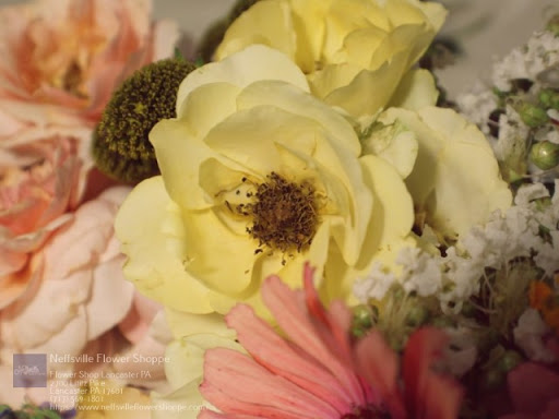 Florist «Neffsville Flower Shoppe», reviews and photos, 2700 Lititz Pike, Lancaster, PA 17601, USA