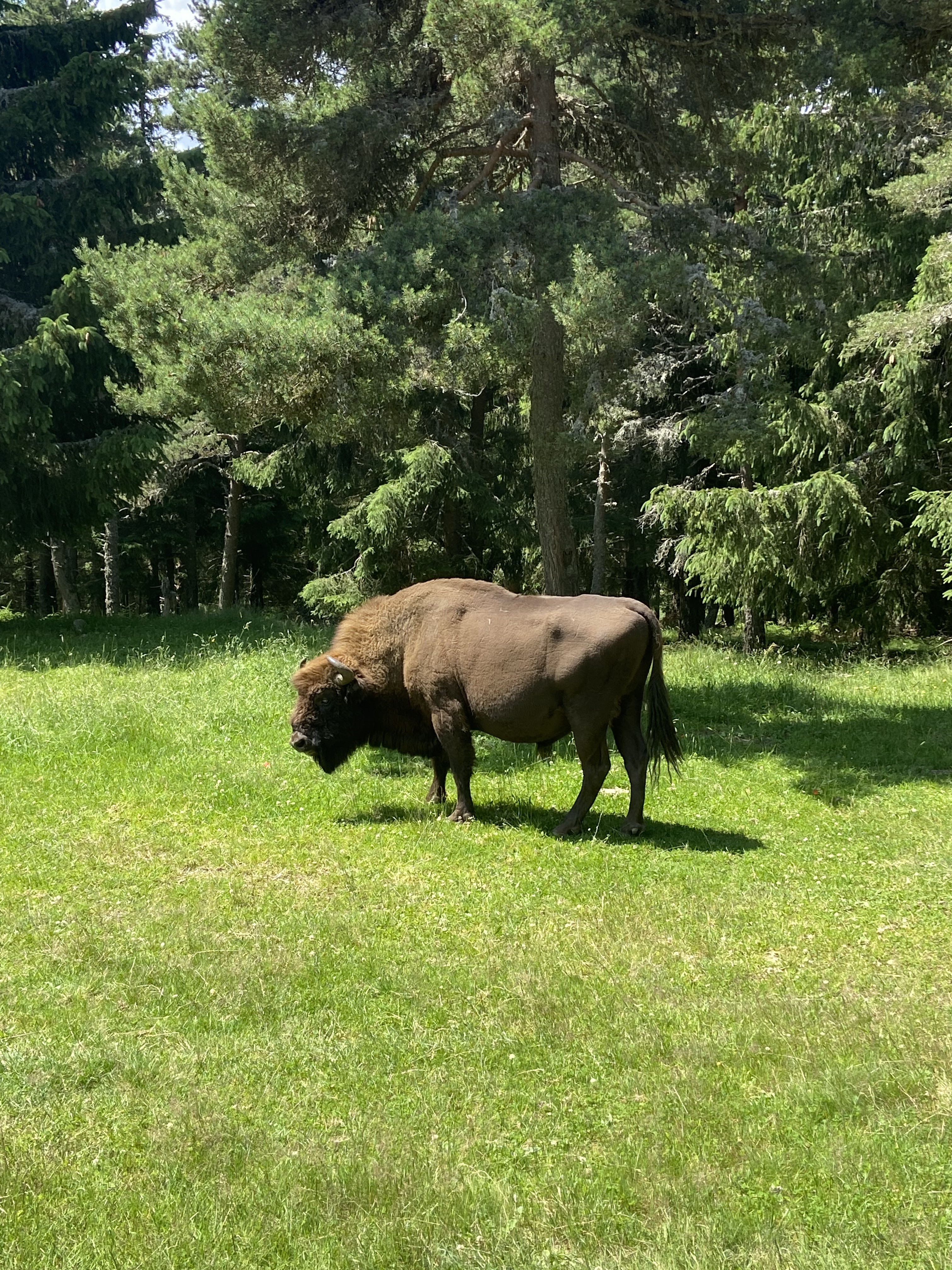 Photo n° 1 de l'avis de Jeanne.l fait le 27/07/2021 à 20:40