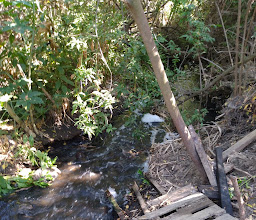 Cañon de Doña Petra photo