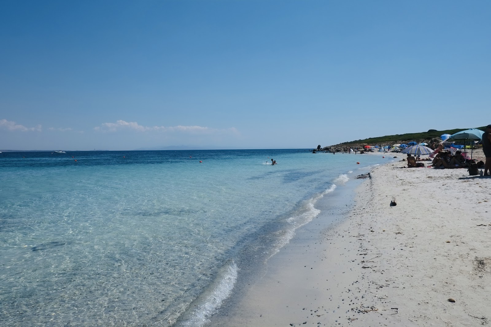 Saline Cove'in fotoğrafı geniş bir kıyı şeridi ile birlikte