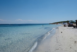 Saline Cove'in fotoğrafı geniş bir kıyı şeridi ile birlikte