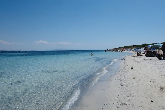 Saline Cove