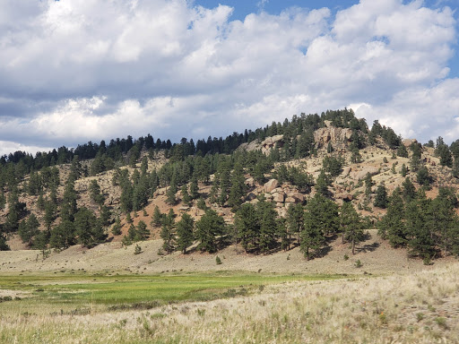 Coffee Shop «Starbucks», reviews and photos, 1101 US-24, Woodland Park, CO 80863, USA