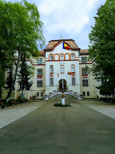 Strada Kós Károly 22, Sfântu Gheorghe 520055, România