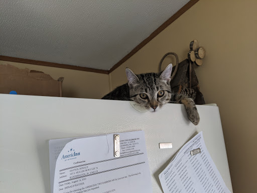 Pet Supply Store «Petco Animal Supplies», reviews and photos, 1337 N National Rd, Columbus, IN 47201, USA