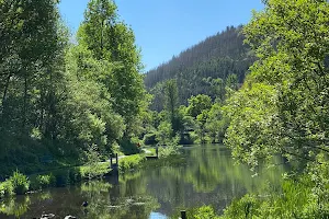 Cwmtillery Lakes image