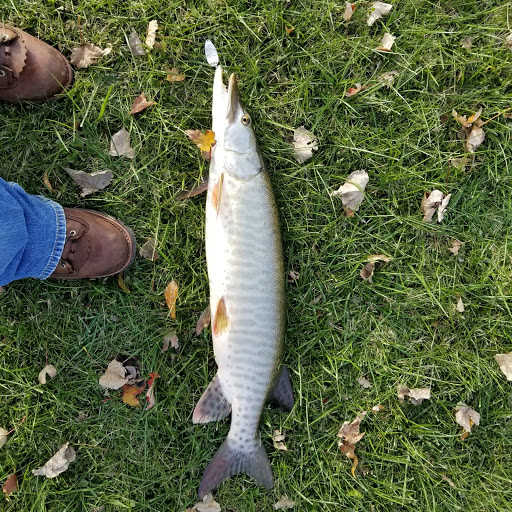 Park «Labo Park», reviews and photos, 22215 S Huron River Dr, Rockwood, MI 48173, USA