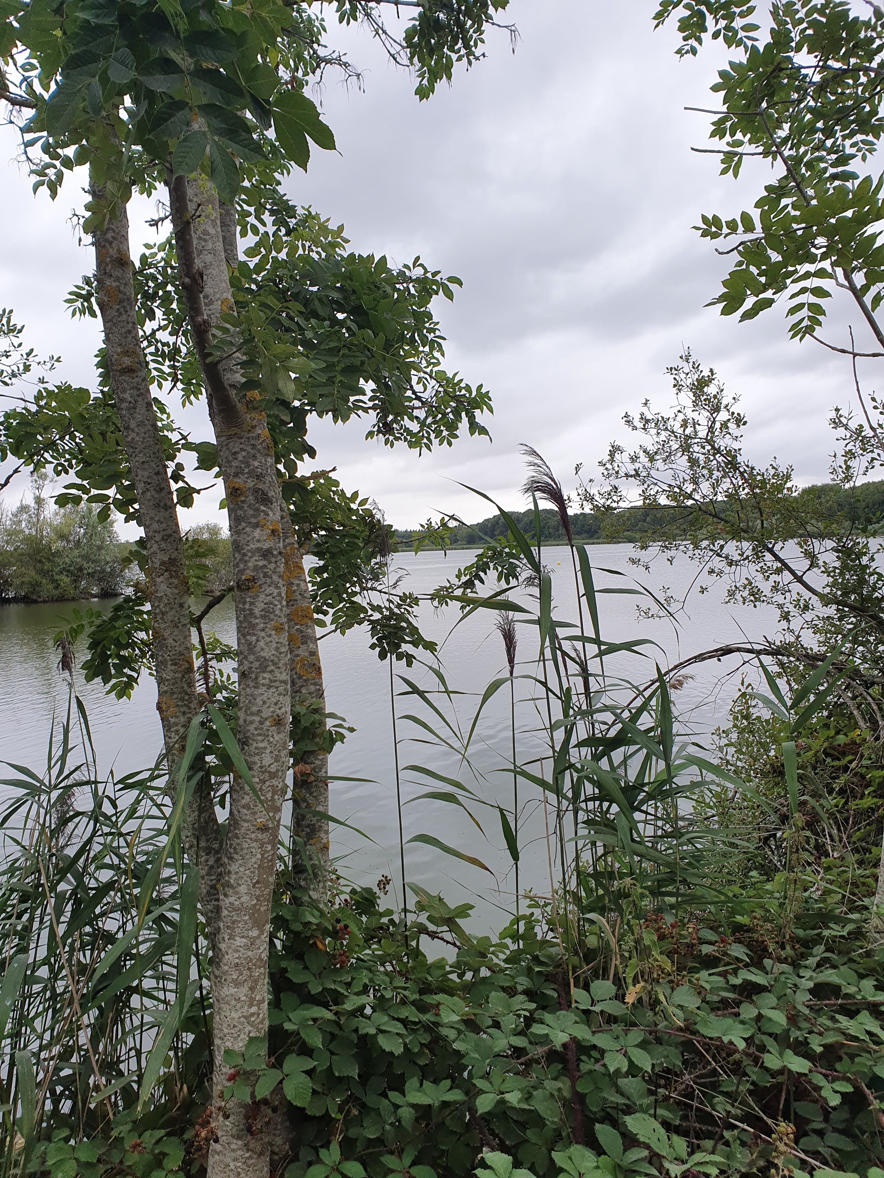 Photo n° 28 de l'avis de Liliane.o fait le 17/08/2019 à 10:37
