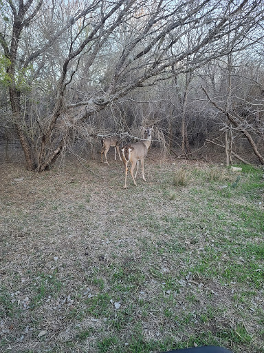 Golf Course «Gateway Hills Golf Course», reviews and photos, 1800 Dimsted Pl, Lackland AFB, TX 78236, USA