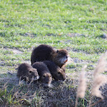 Photo n°2 de l'avis de Ugo.r fait le 15/02/2022 à 07:15 sur le  Birrificio artigianale B2O à Brussa