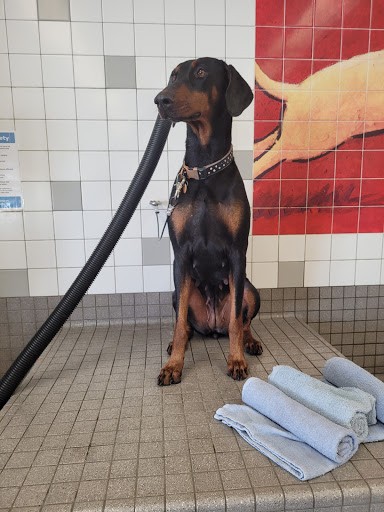 Pet Supply Store «Pet Food Express», reviews and photos, 5829 Lone Tree Way, Antioch, CA 94531, USA