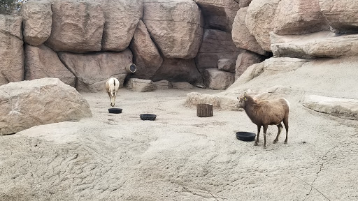 Zoo «Monkey Island», reviews and photos, 8 E 23rd Ave, Denver, CO 80205, USA