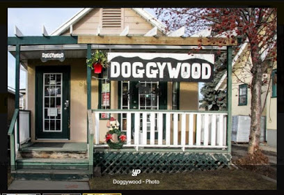 Doggywood Limited