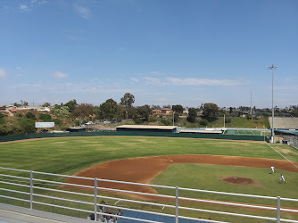 4 - Baseball Field