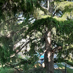 Photo n°23 de l'avis de LUIGI.E fait le 03/05/2021 à 17:46 sur le  Hotel Villa Beccaris à Monforte d'Alba