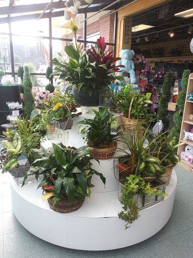 Florist «Thrifty Florist», reviews and photos, 26989 Woodward Ave, Huntington Woods, MI 48070, USA