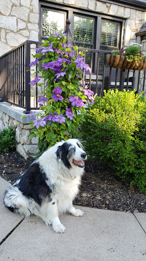 Pet Supply Store «The Green Spot», reviews and photos, 1110 S 71st St, Omaha, NE 68106, USA