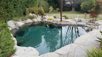 Apex Pool Service - Photo 2 - Car repair in , Roseville