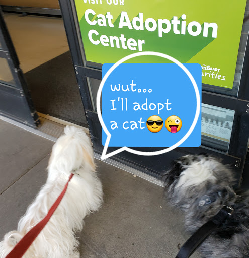 Pet Supply Store «PetSmart», reviews and photos, 8105 Moores Ln Ste 1300, Brentwood, TN 37027, USA