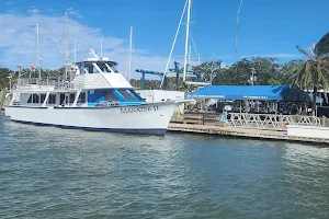 The Manatee - Scenic Boat Tours & Dolphin Cruise image