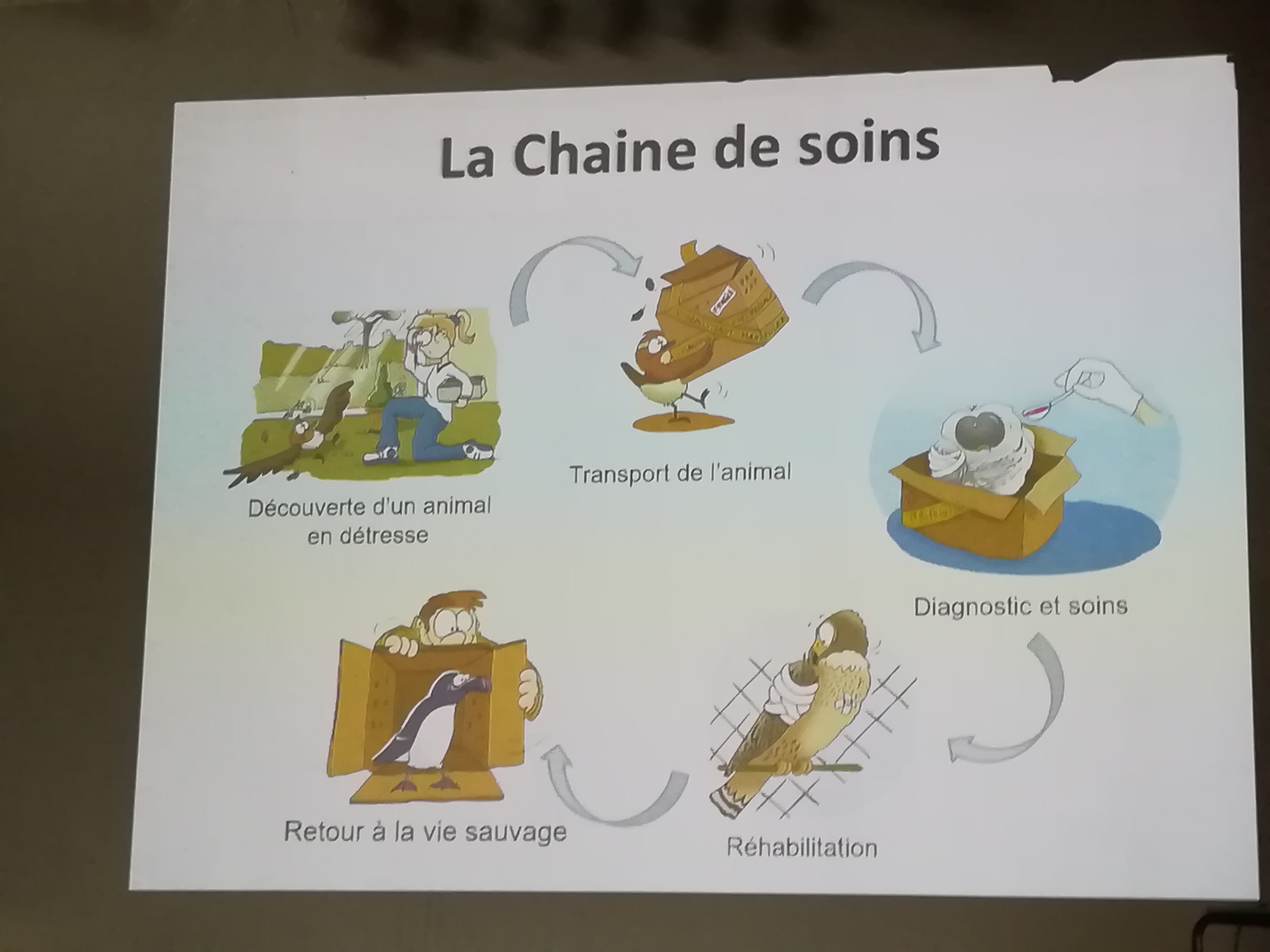 Photo n° 11 de l'avis de Nathalie.e fait le 29/06/2019 à 20:26