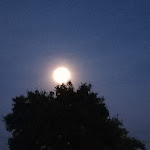 Photo n°3 de l'avis de Lella.o fait le 02/06/2023 à 20:20 sur le  Agriturismo Il Filare à Bazzano