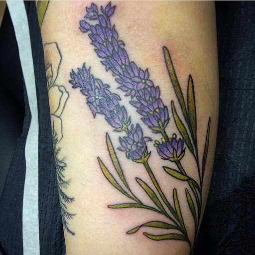 Explore grand canyon tattoo ideas, creative tattoo ideas in Tecumseh, available at Lucid Tattoo Gallery