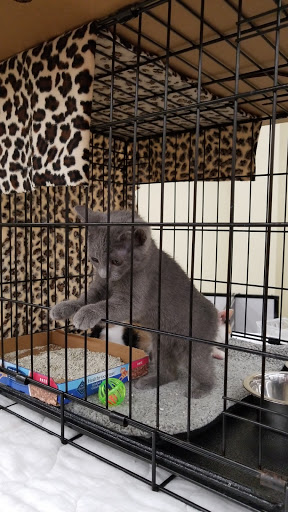 Pet Supply Store «Petco Animal Supplies», reviews and photos, 1753 St Lucie W Blvd, Port St Lucie, FL 34986, USA