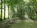 Forêt de Rothonne Belley