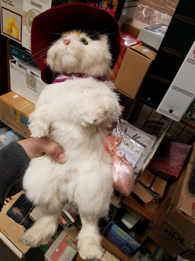 Thrift Store «The VMC Thrift Store», reviews and photos, 7128 Frankford Ave, Philadelphia, PA 19135, USA