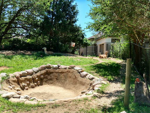 Zoo «Miller Park Zoo», reviews and photos, 1020 S Morris Ave, Bloomington, IL 61701, USA