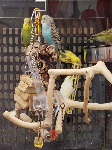 Pet Supply Store «PetSmart», reviews and photos, 5812 Youngstown Warren Rd, Niles, OH 44446, USA