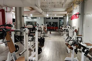 David Fitness Club image