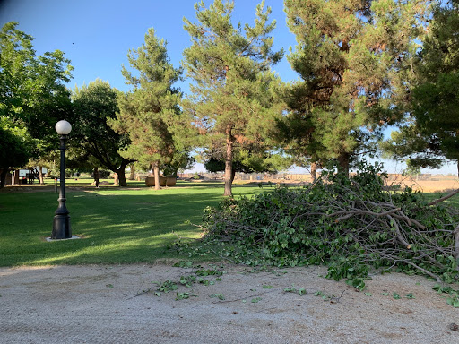 CAL STATE TREE SERVICE AND JUNK REMOVAL