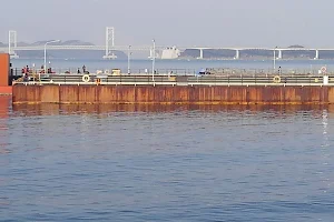 Minamiawaji Mega Float Sea Fishing Park image