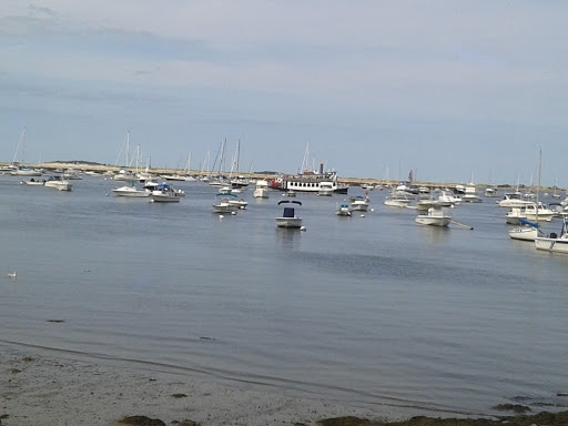 Insurance Company «Plymouth Rock Assurance», reviews and photos