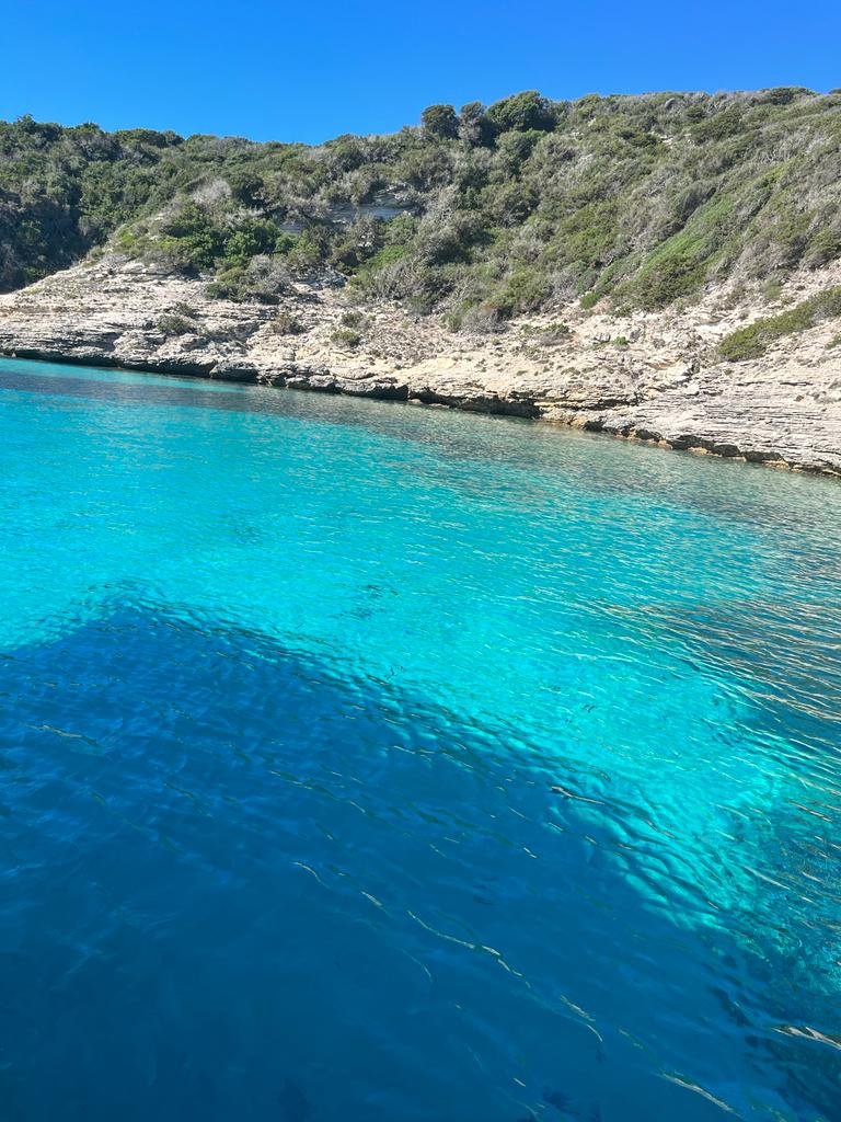 Photo n° 24 de l'avis de DESOLI.l fait le 12/09/2022 à 14:52
