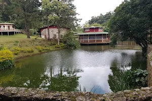 La Finca Vida Joven Nicaragua image