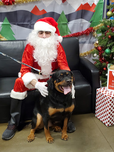 Pet Supply Store «PetSmart», reviews and photos, 1425 7th St E, Monticello, MN 55362, USA