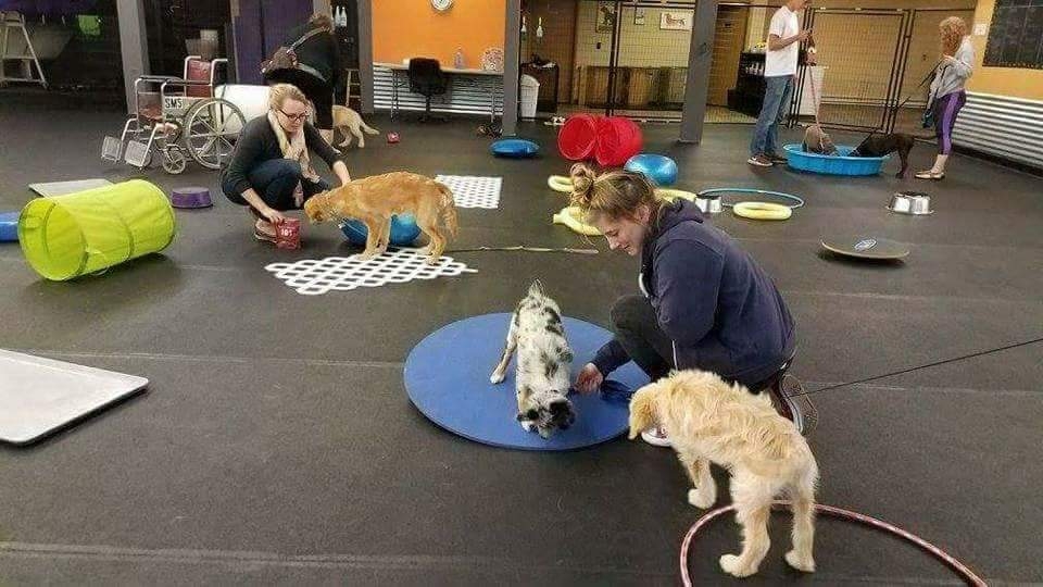 Sit Happens Dog Training Center