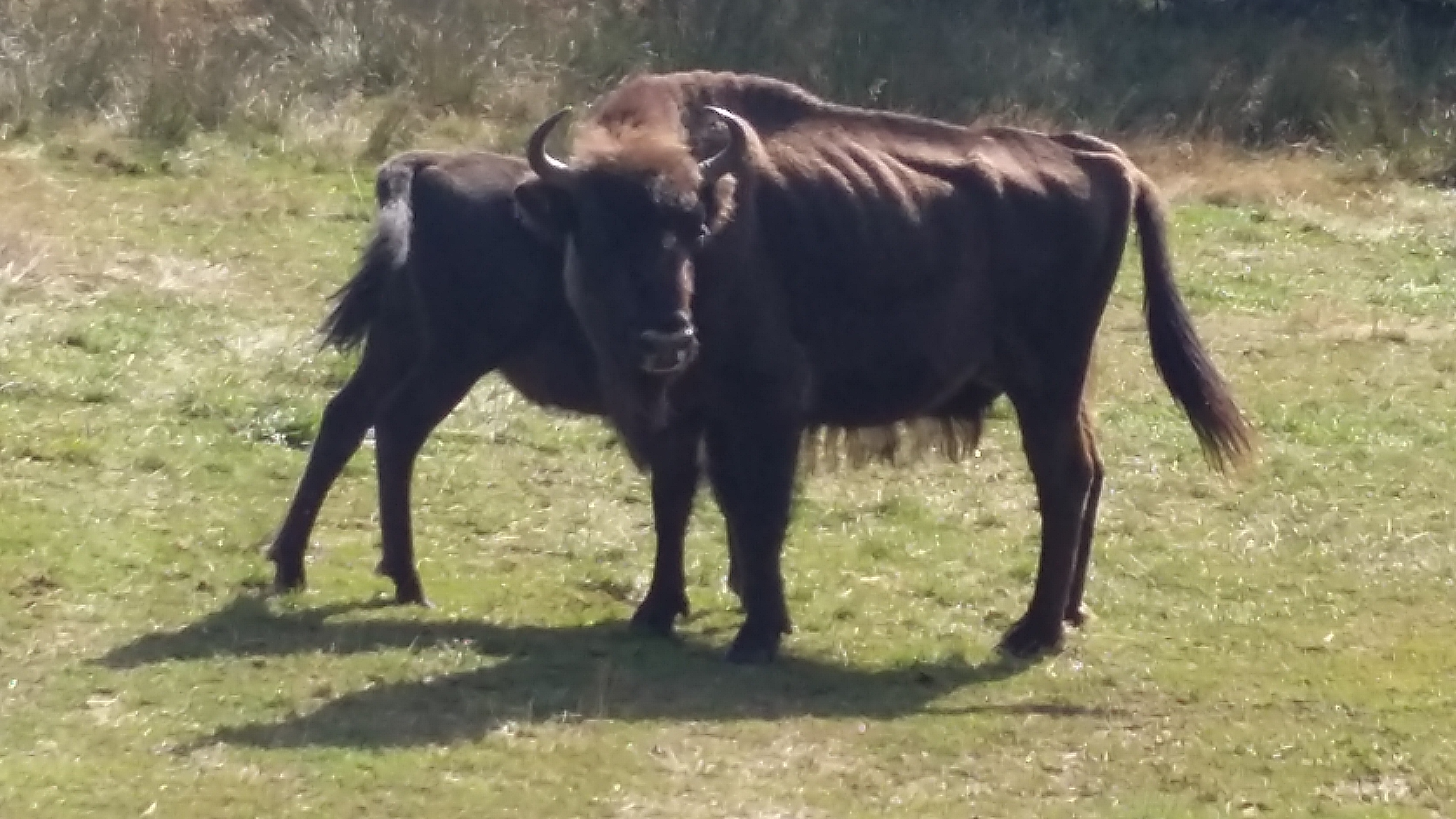 Photo n° 1 de l'avis de Bérangère.h fait le 26/08/2017 à 05:51