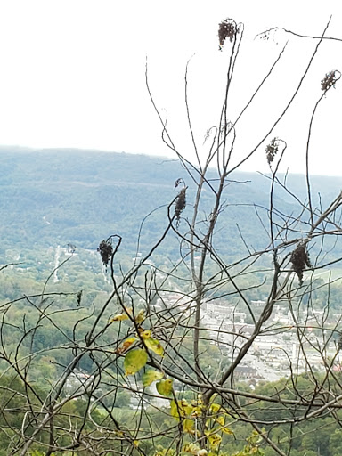 National Park «Cumberland Gap National Historical Park», reviews and photos, 91 Bartlett Park Road, Middlesboro, KY 40965, USA