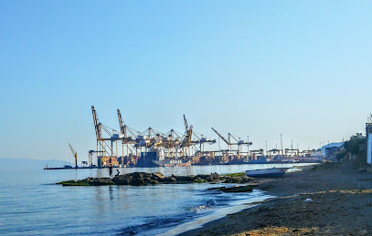 Asyaport Harbor