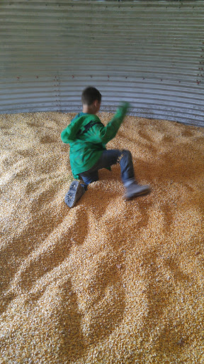 Farm «Bottom View Farm», reviews and photos, 185 Wilkerson Ln, Portland, TN 37148, USA