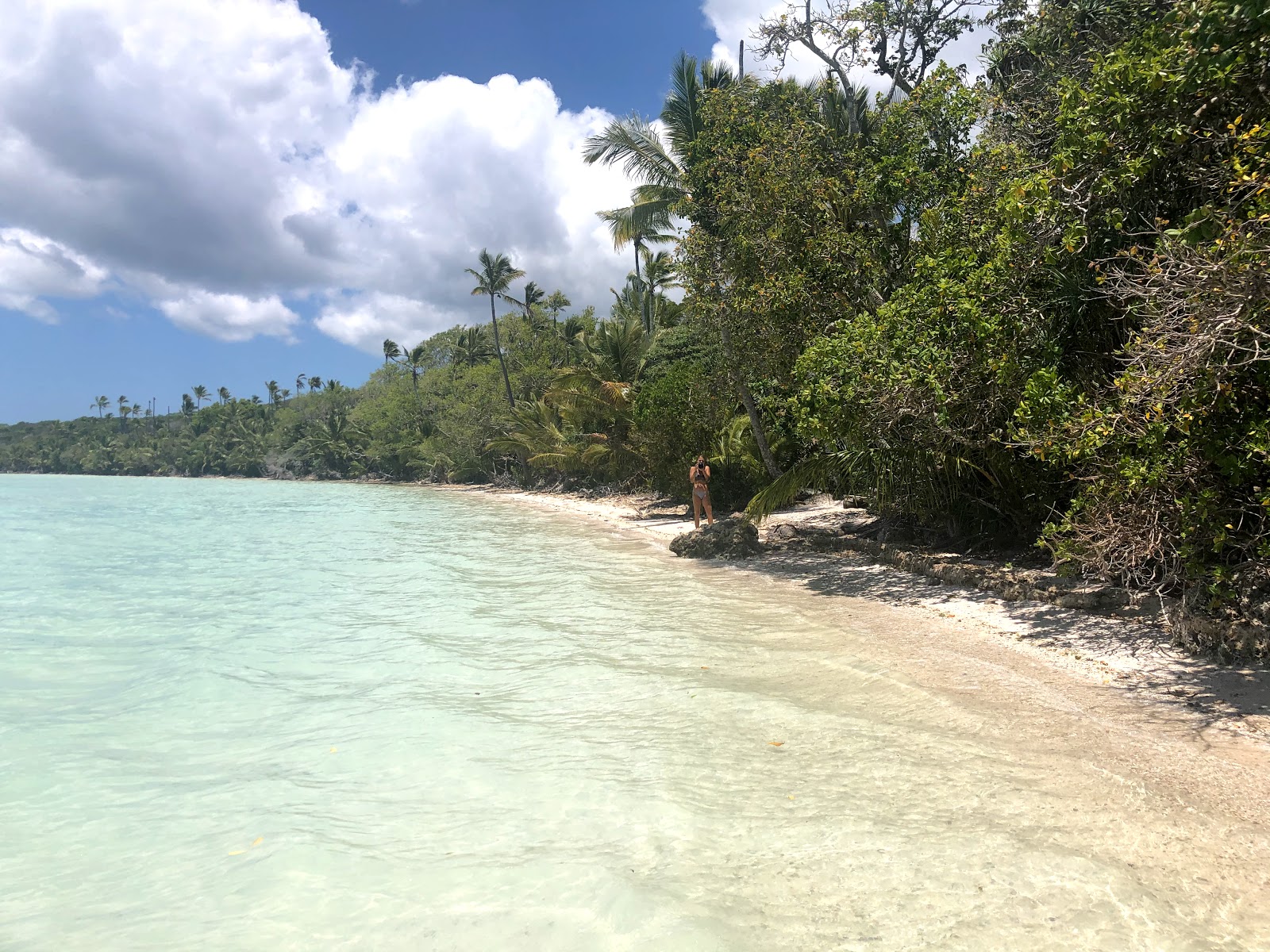 Baie d'Upi Chemin Baie d'Oro'in fotoğrafı vahşi alan