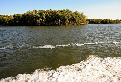 Tour Agency «Everglades National Park Boat Tours», reviews and photos
