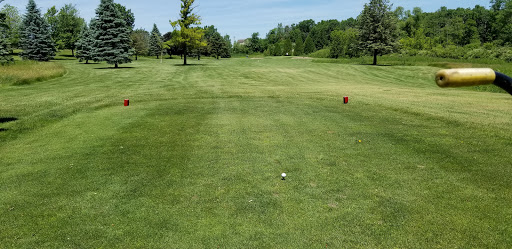 Golf Course «Hawk Meadows Golf Course», reviews and photos, 410 E Marr Rd, Howell, MI 48855, USA